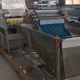 鸭蛋清洗包装设备