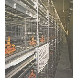 重叠式肉鸡饲料系统