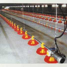 全自动平养喂料机