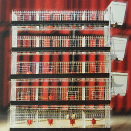 种鹌鹑及蛋用鹌鹑笼