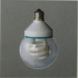 KF白光肉鸡专用灯