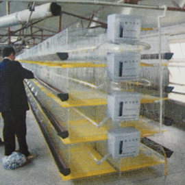 育雏育成两用鸡笼