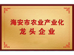 海安市农业产业化 龙头企业